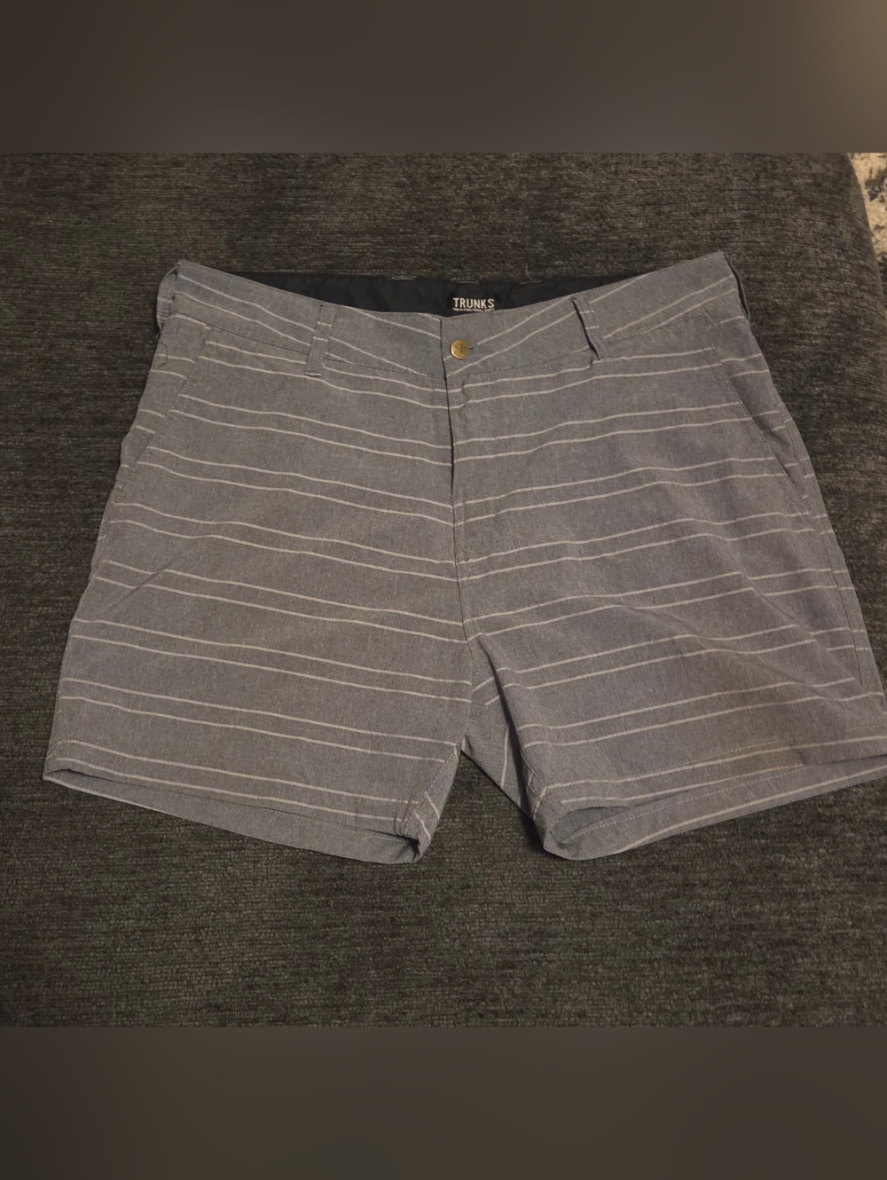 TRUNKS Men's Gray Horizontal Stripe Flat Front Multifunctional Shorts. Size 36